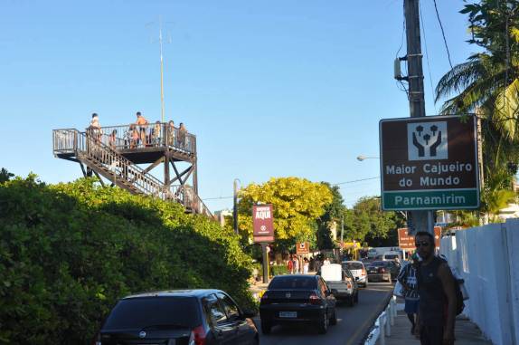 Chegando ao maior cajueiro do mundo, em Pirangi - RN
